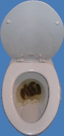 Crapped Filled Toilet Bowl Or GMAC Bowl--You Make The Call