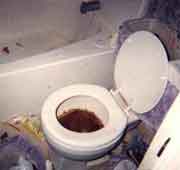 Shitty Picture #1